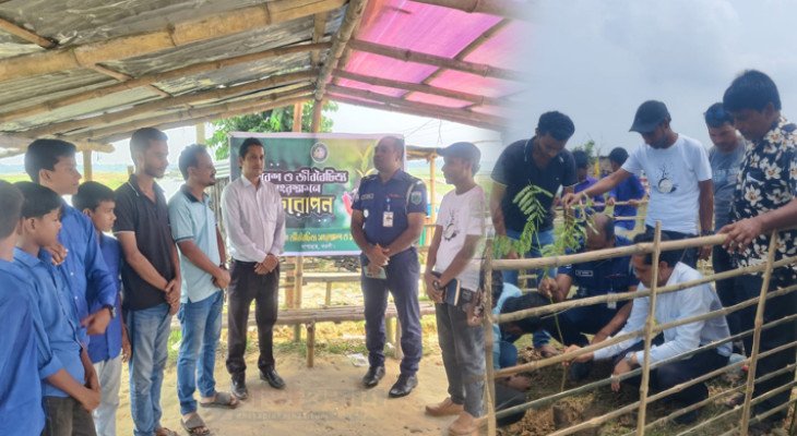 জবই বিলে পর্যটকদের জন্য ছায়াময় পরিবেশ গড়ে তুলতে বৃক্ষরোপণ কর্মসূচি